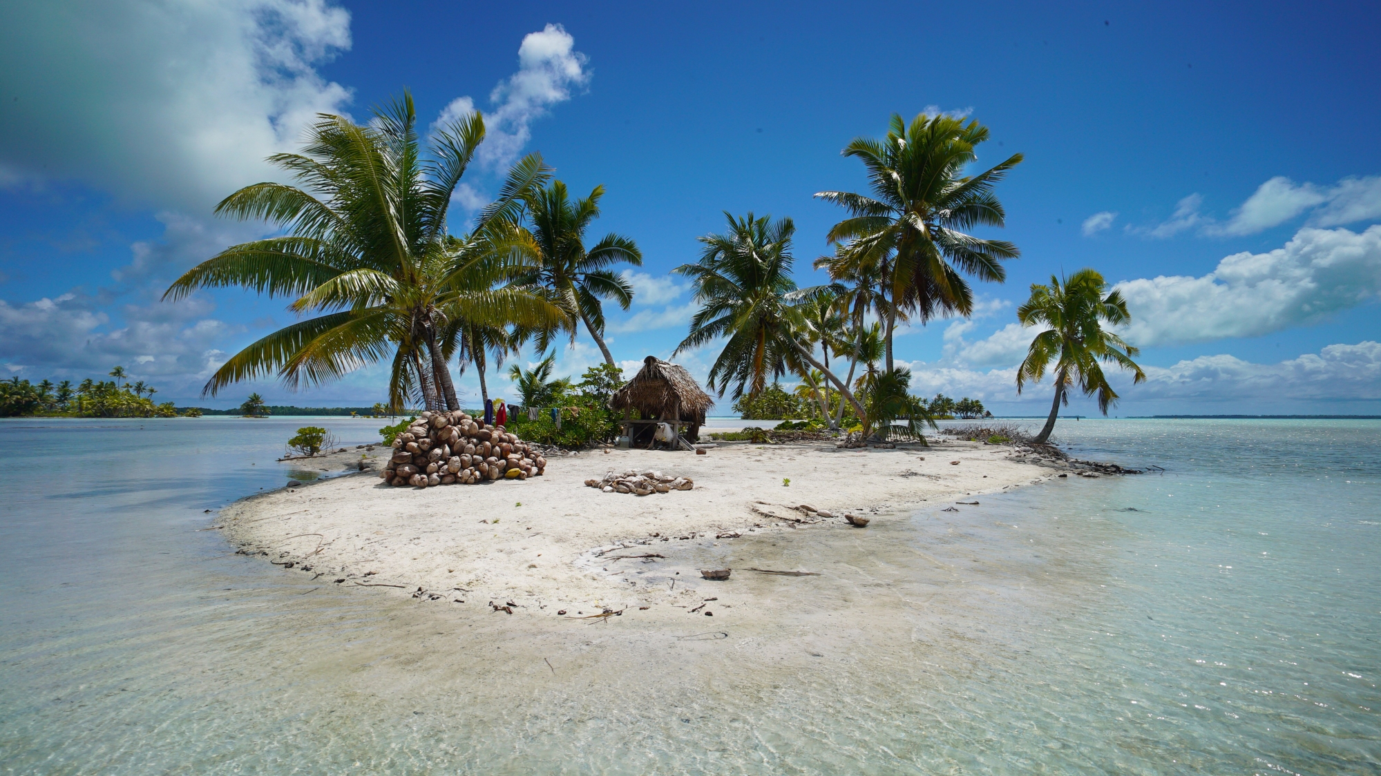 økologisk Mirakuløs Vægt Fanning Island – The Kiribati Experience